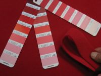 Choyu Doppio Rouge 052 - DISPONIBILE A MAGAZZINO